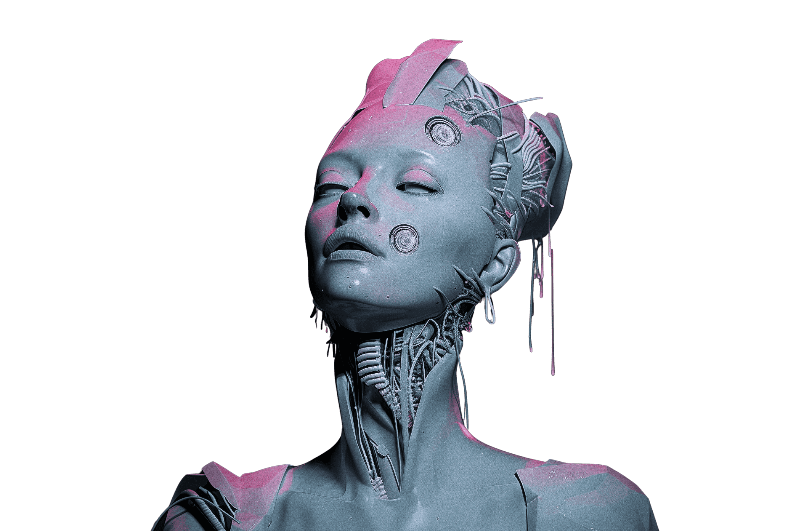 Visual Model